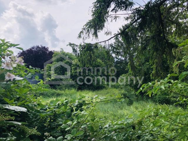 Grundstück kaufen in Mitterndorf an der Fischa, Niederösterreich