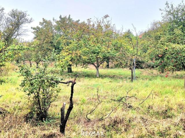 Grundstück kaufen in Gols, Burgenland