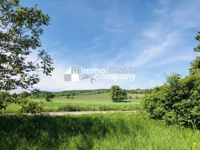 Grundstück kaufen in Bisamberg, Niederösterreich