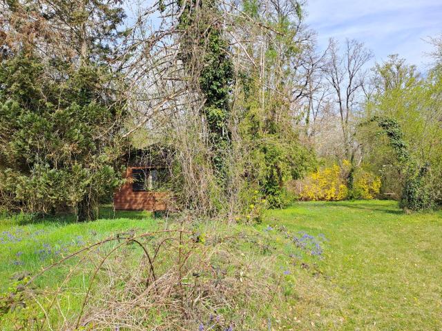 Immobilie kaufen in Enzenwinkl, Leonding