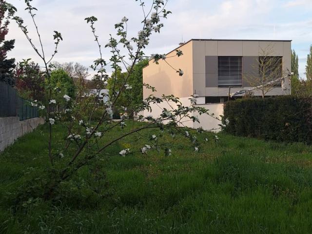 Grundstück kaufen in Baden, Niederösterreich