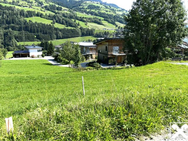 Immobilie kaufen in Taxberg, Taxenbach