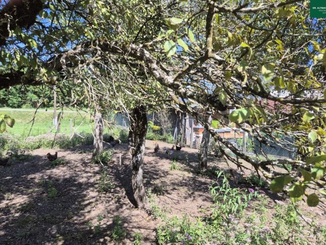 Grundstück kaufen in Feistritz im Rosental, Kärnten