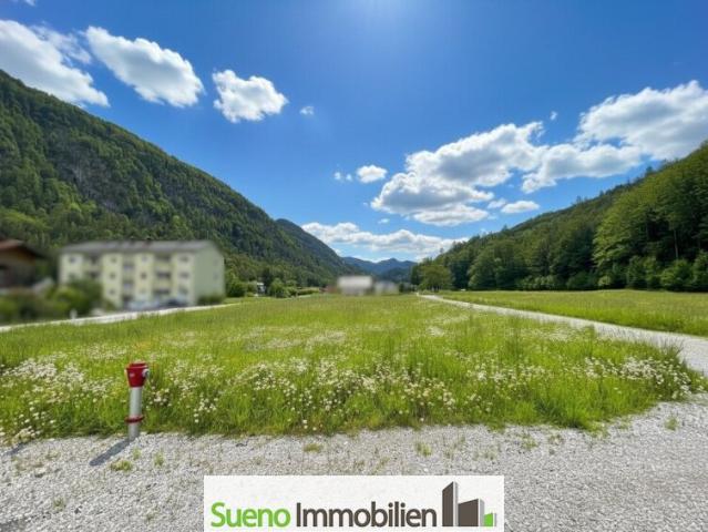 Grundstück kaufen in Grünau im Almtal, Oberösterreich