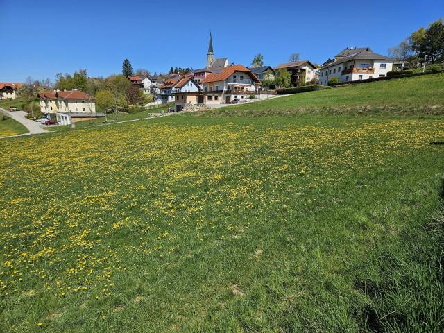 Immobilie kaufen in Linden, St. Georgen am Walde