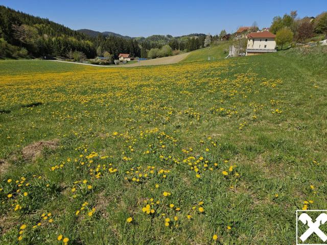 Grundstück kaufen in St. Georgen am Walde, Oberösterreich