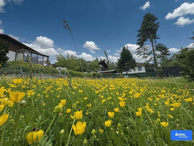 Immobilie kaufen in Patriasdorf, Lienz