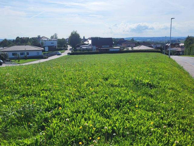 Immobilie kaufen in Diersbach, Oberösterreich