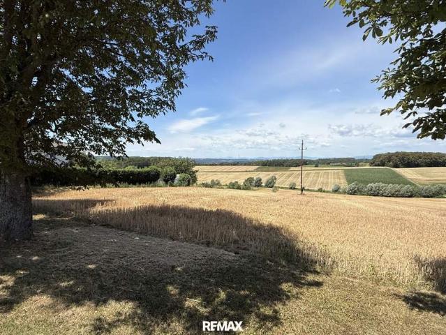Grundstück kaufen in Güssing, Burgenland