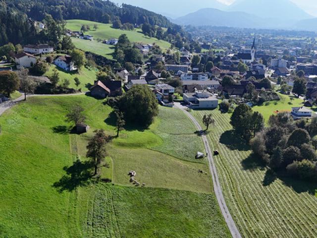 Grundstück kaufen in Weiler, Vorarlberg