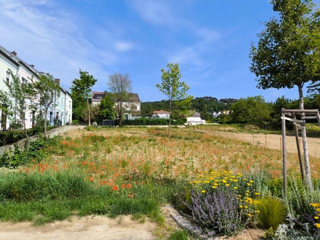 Grundstück kaufen in Kleinhöflein, Eisenstadt