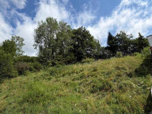 Immobilie kaufen in Kapfenberg, Steiermark