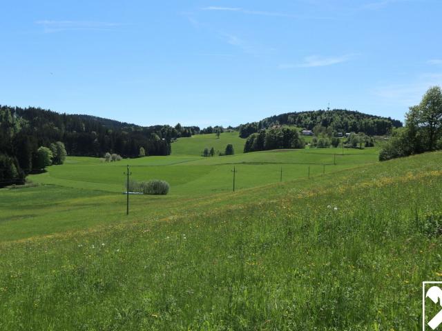 Grundstück kaufen in Liebenau, Oberösterreich