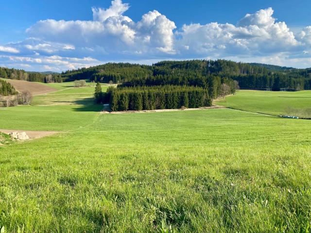 Immobilie kaufen in Liebenau, Oberösterreich