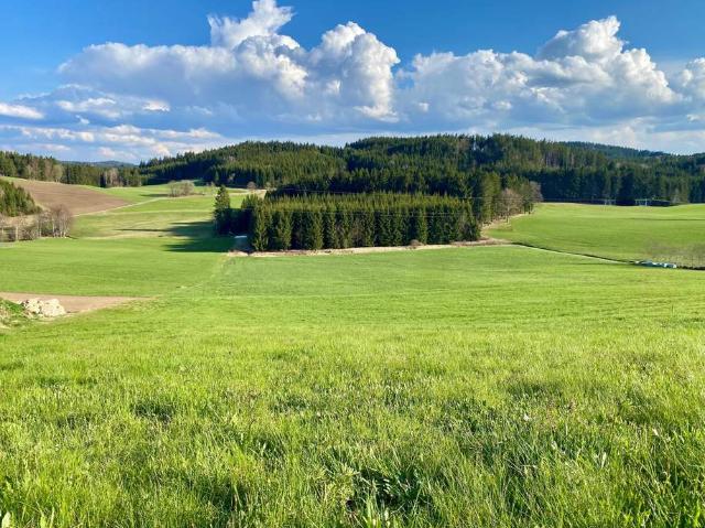 Grundstück kaufen in Freistadt, Oberösterreich