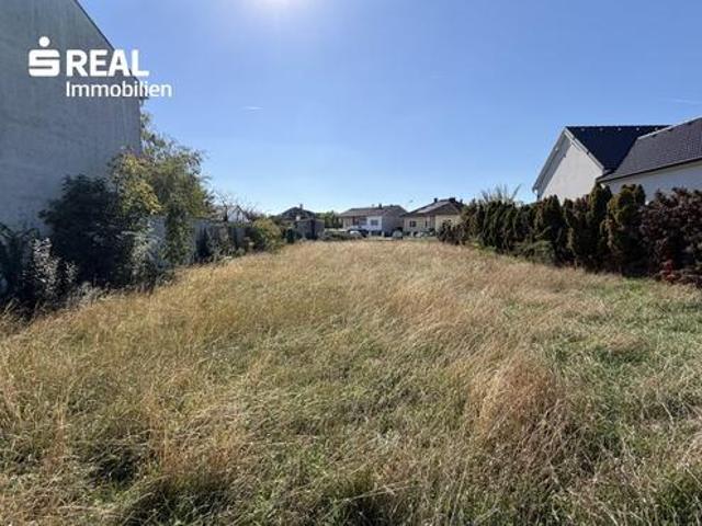 Grundstück kaufen in Frauenkirchen, Bezirk Neusiedl am See