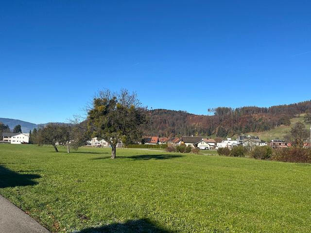 Grundstück kaufen in Klaus, Vorarlberg