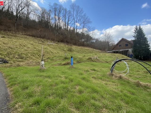 Grundstück kaufen in Stattegg, Steiermark