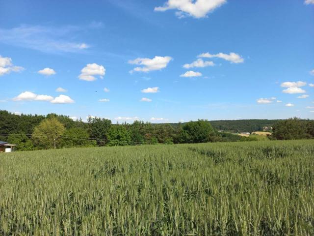 Grundstück kaufen in Güssing, Burgenland
