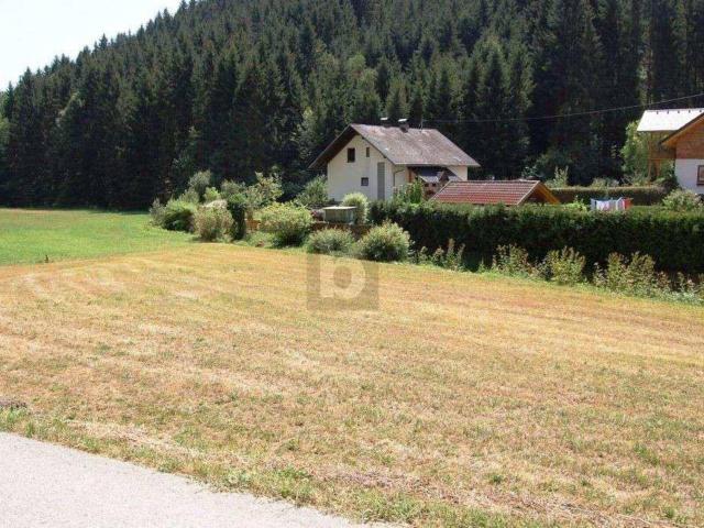 Immobilie kaufen in St. Andrä, Kärnten