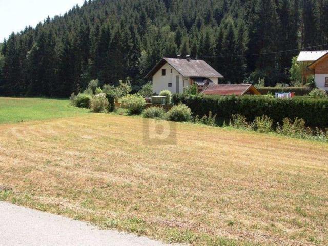Grundstück kaufen in Katastralgemeinde Twimberg, Bad St. Leonhard im Lavanttal