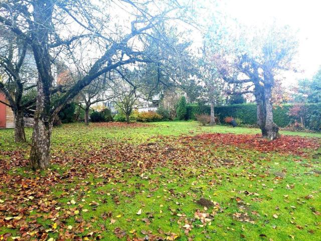 Immobilie kaufen in Munderfing, Oberösterreich