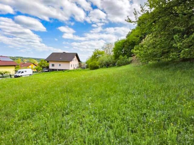 Grundstück kaufen in Dietmannsdorf, St. Ruprecht an der Raab