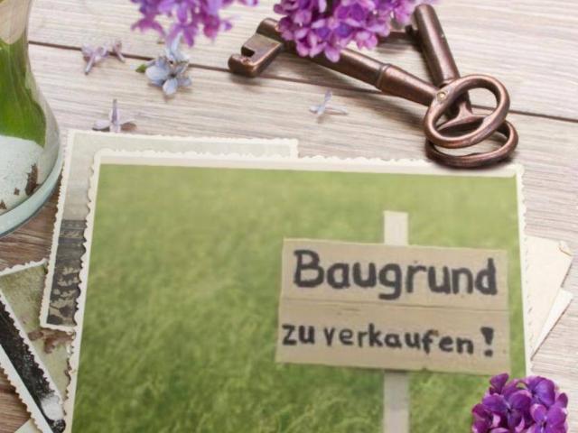 Immobilie kaufen in Buch, Tirol
