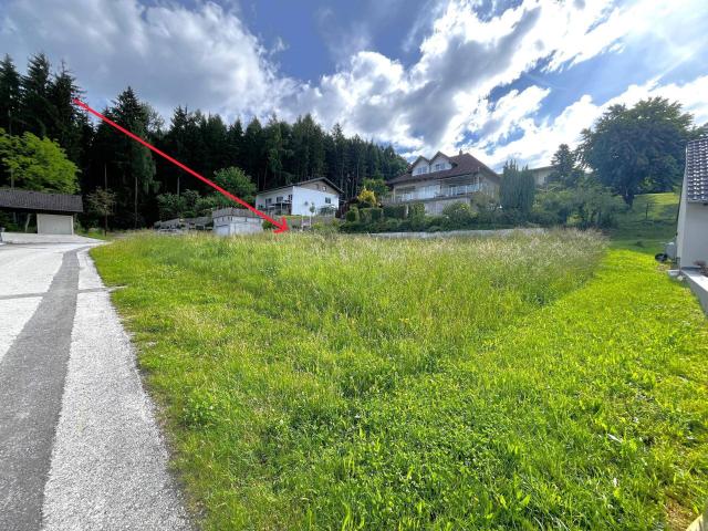 Immobilie kaufen in Wassenbach, Ampflwang im Hausruckwald