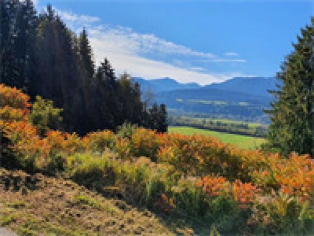 Grundstück kaufen in Ferndorf, Kärnten