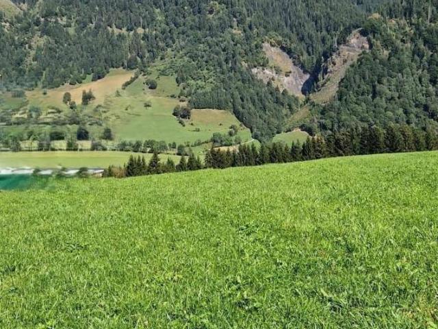 Immobilie kaufen in Goldegg, Salzburg