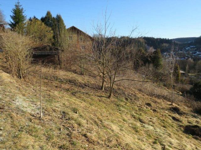 Immobilie kaufen in Kapfenberg, Steiermark