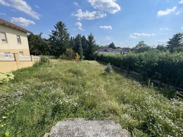 Grundstück kaufen in Mattersburg, Burgenland