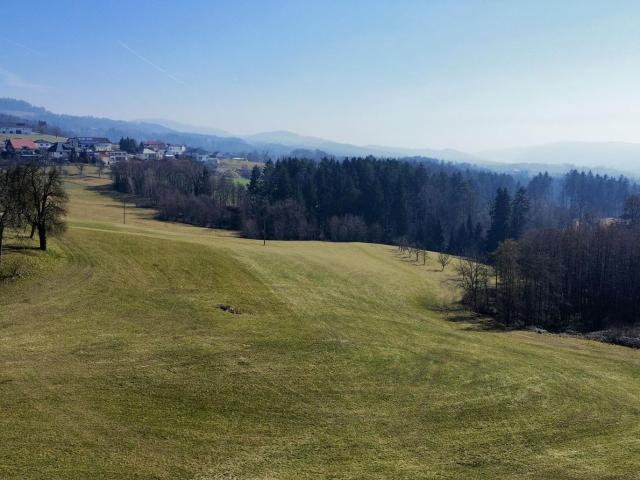 Grundstück kaufen in Walding, Oberösterreich
