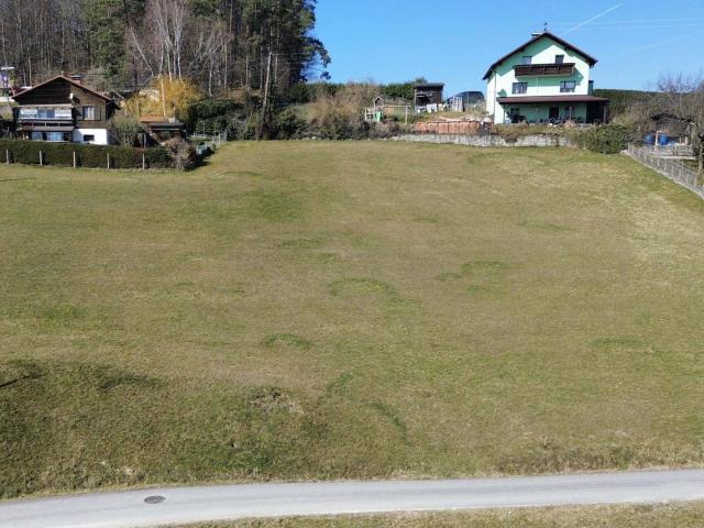 Immobilie kaufen in Bach, Walding