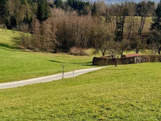 Grundstück kaufen in Urfahr, Linz