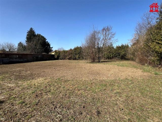 Grundstück kaufen in Grottenhof, Kaindorf an der Sulm