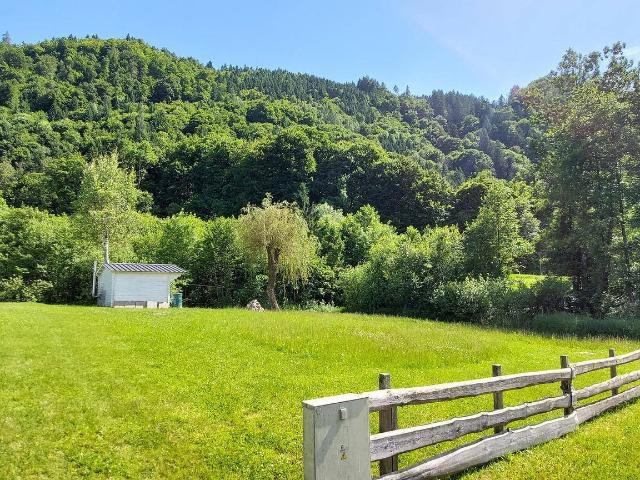 Immobilie kaufen in Alt-Ossiach, Ossiach