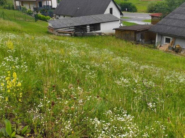 Grundstück kaufen in Steiermark