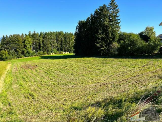 Grundstück kaufen in Penk, Kärnten