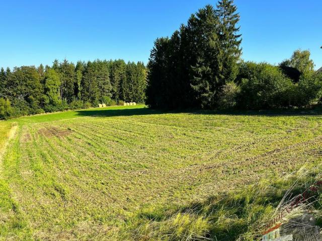 Grundstück kaufen in Penk, Kärnten