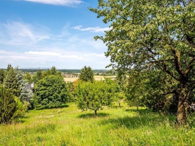 Grundstück kaufen in Niederösterreich