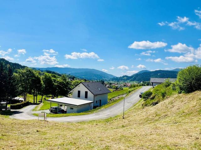 Immobilie kaufen in Mariahof, Steiermark