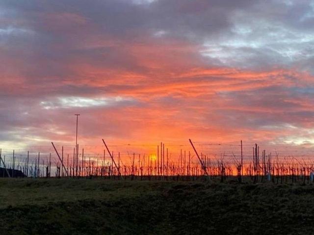 Grundstück kaufen in Jennersdorf, Burgenland