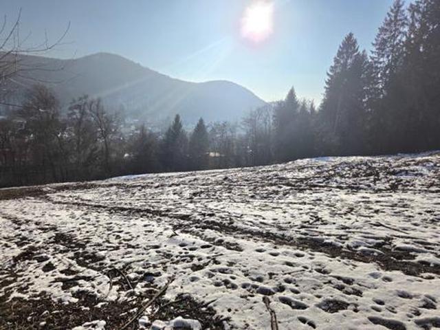 Grundstück kaufen in Purkersdorf, Niederösterreich
