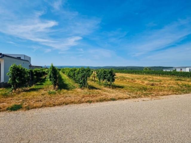 Grundstück kaufen in Neusiedl am See, Burgenland