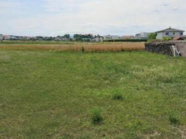 Grundstück kaufen in Trausdorf an der Wulka, Burgenland