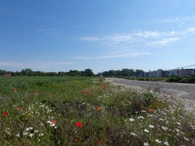 Grundstück kaufen in Gattendorf, Burgenland