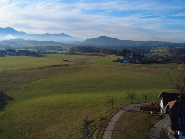 Immobilie kaufen in Zilling, Hallwang