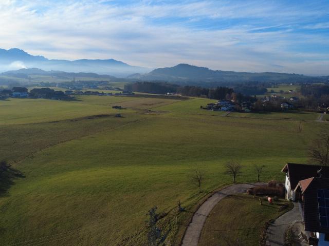 Grundstück kaufen in Berg, Hallwang